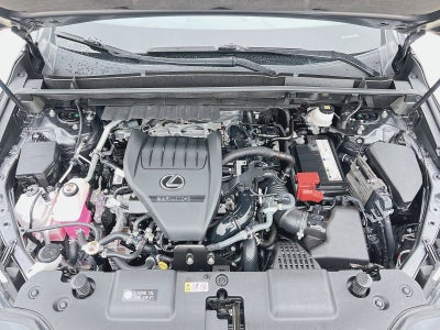 2022 Lexus NX 350 Base