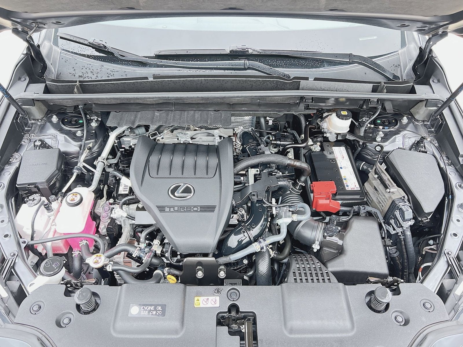 2022 Lexus NX 350 Base