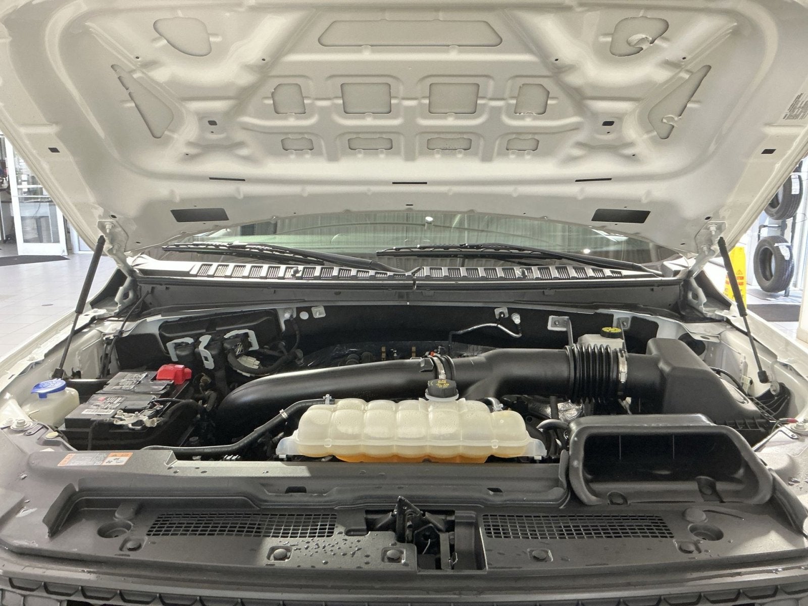 2023 Ford Expedition Timberline