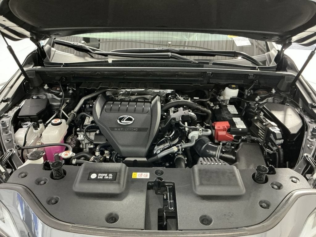 2024 Lexus NX NX 350