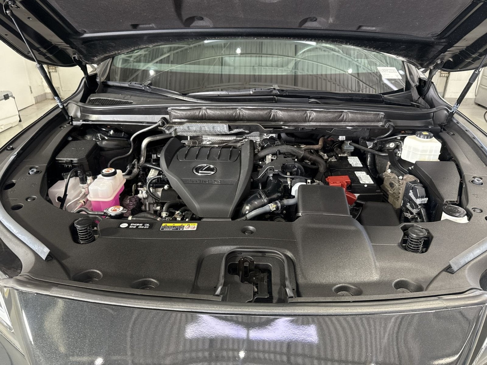 2023 Lexus RX RX 350