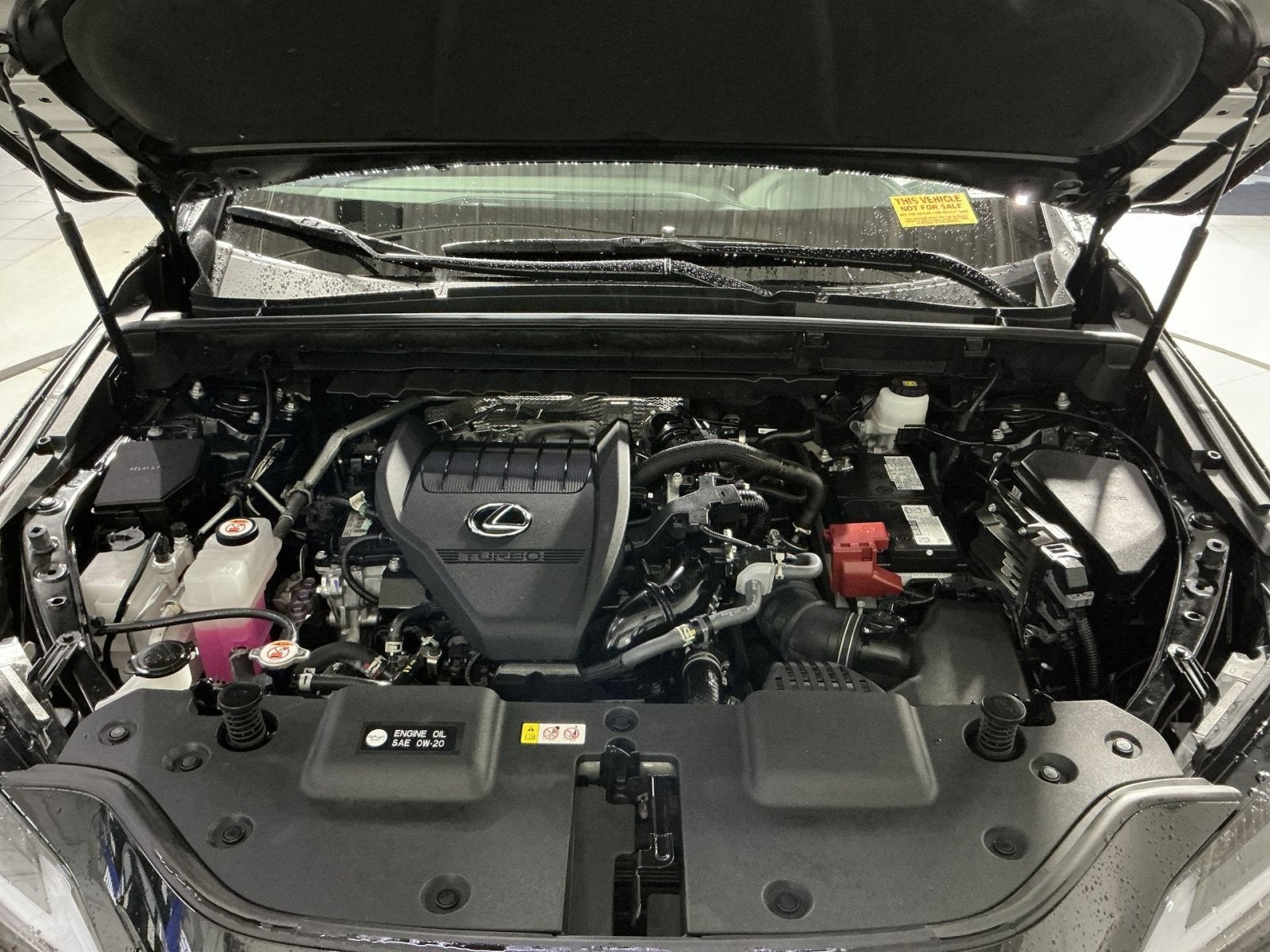 2024 Lexus NX NX 350 Premium