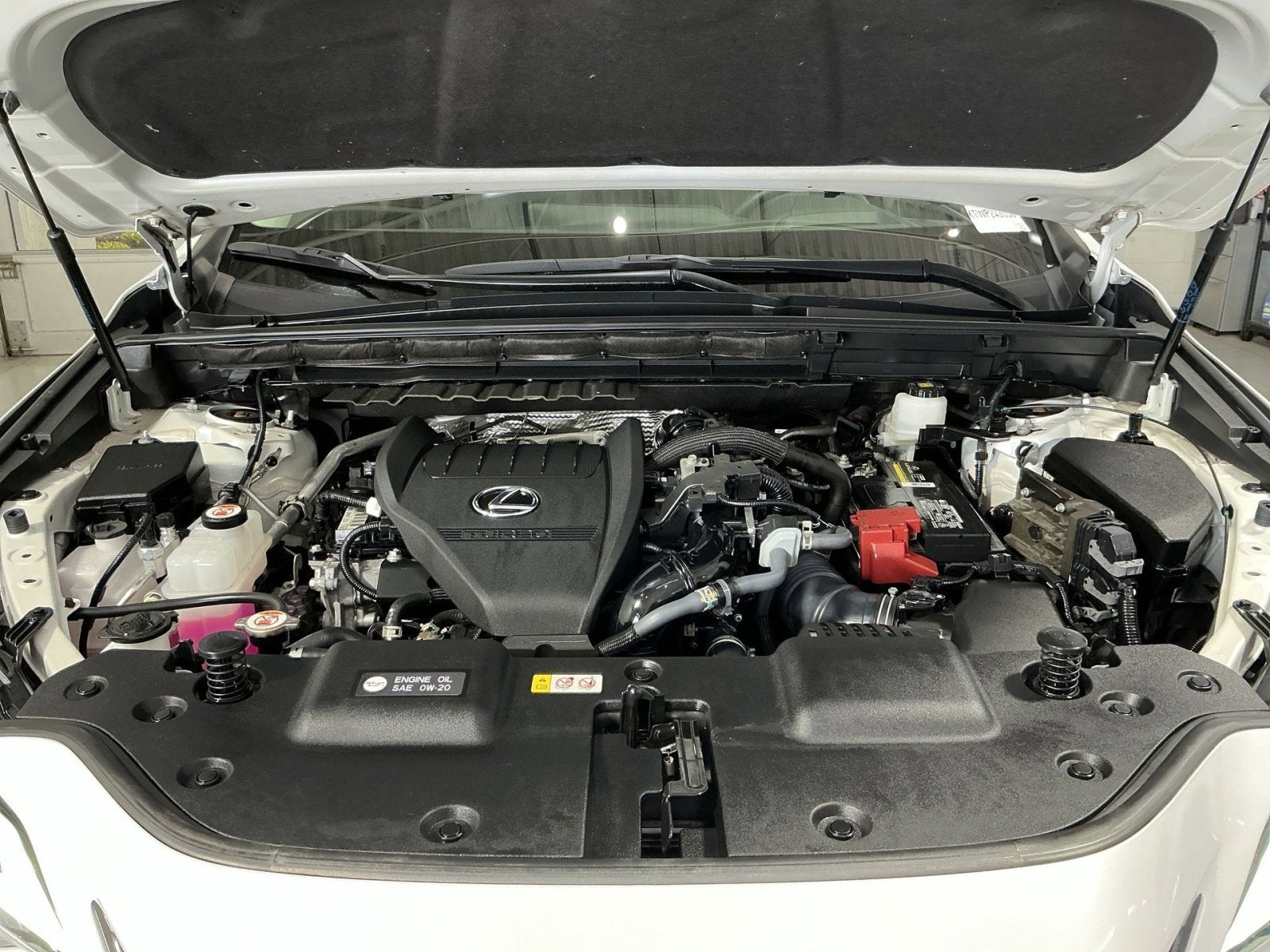 2024 Lexus NX NX 350 Luxury