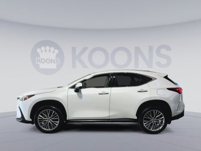 2024 Lexus NX NX 350 Luxury
