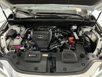 2024 Lexus NX NX 350