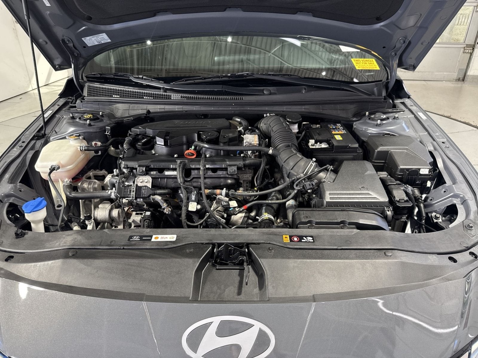 2024 Hyundai Elantra N Line